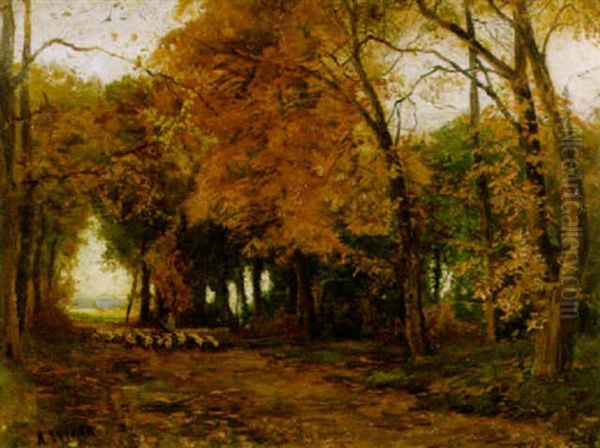 Die Grose Alle Im Park Von Augustenburg, Alsen - view 1