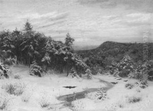 Vogel In Winterlicher Waldlandschaft Vogel In Winterlicher Waldlandschaft