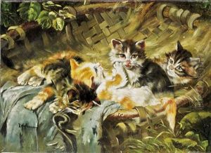 Gatti