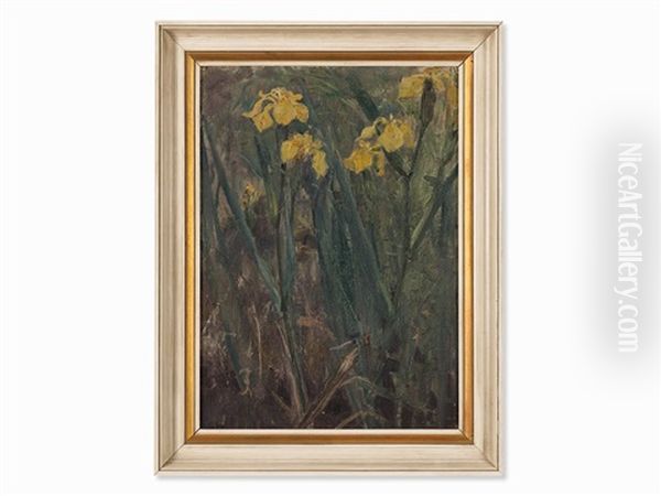 Yellow Irises - view 1