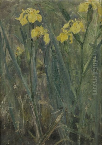 Teichlilien - view 1