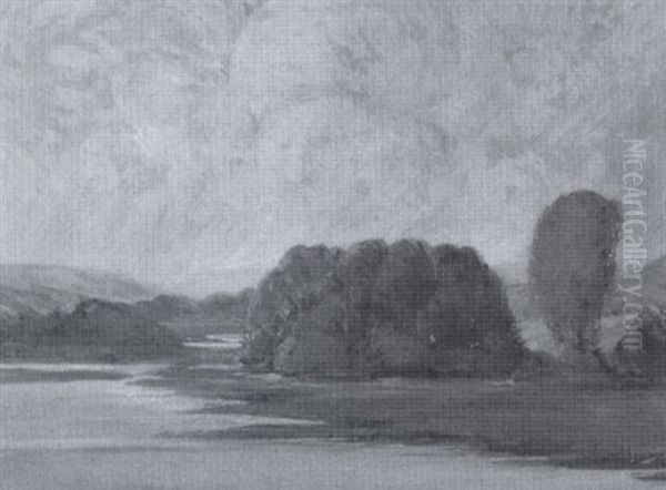 Sommerliche Fluslandschaft - view 1