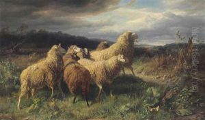 Sheep Startled By A Hare