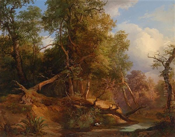 Waldlandschaft - view 1