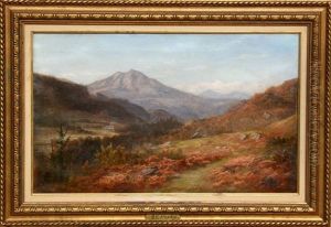 Mountain Landscape Mountain Landscape