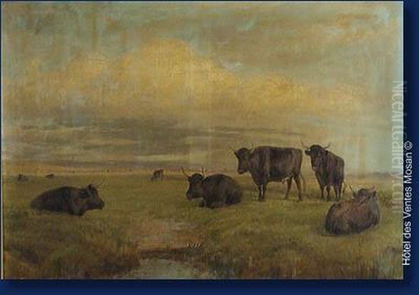Paysage Ecossais Au Vaches Des Highlands - view 1