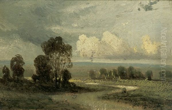 Markische Landschaft Mit Ziehenden Wolken - view 1
