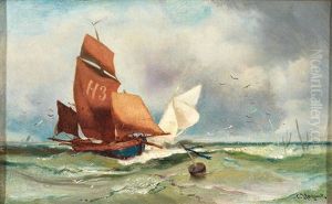 Sturmische Marine Mit Segelbooten thumbnail