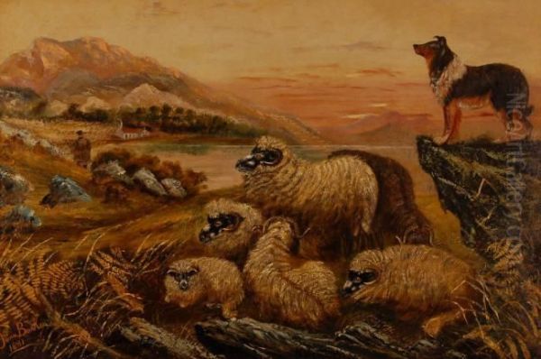 Sheep Dogguarding The Flock - view 1