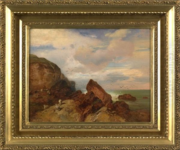 Coastal Scene With Sheep - view 1