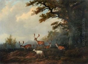 Damwild Am Waldrand by Georg Hoehn