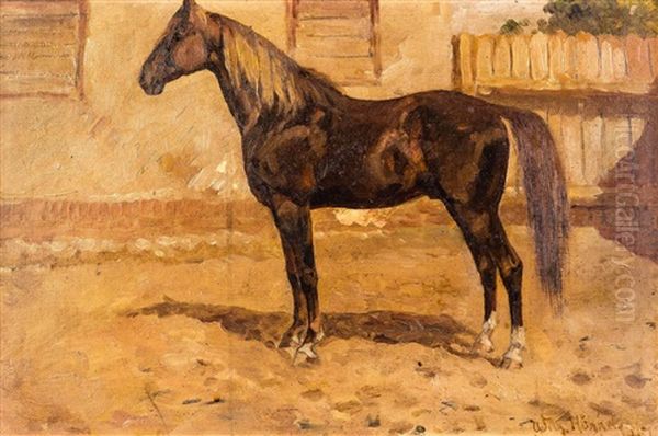 Pferd Zalotnik - view 1