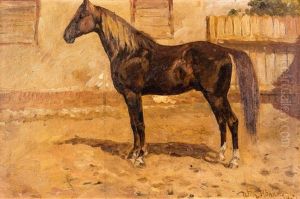 Pferd Zalotnik Pferd Zalotnik
