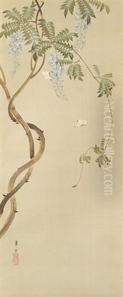 Flowering Wisteria - view 1