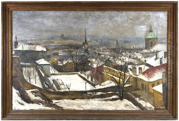 Zimni Pohled Ze Zameckych Schodu - view 1