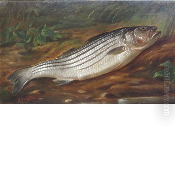 Trout - view 1