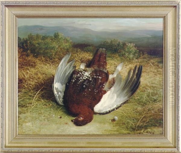 A Dead Grouse In The Highlands (+ A Companion Painting; 2 Works) - view 1