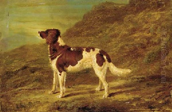 A Gundog In A Landscape - view 1
