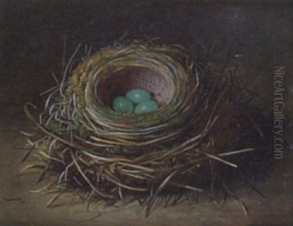 Still Life Of A Bird's Nest - view 1