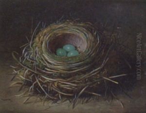 Still Life Of A Bird's Nest thumbnail
