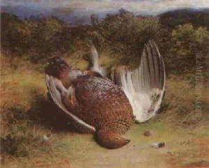 A Dead Grouse A Dead Grouse