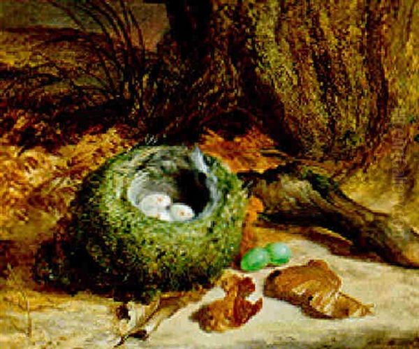 The Bird's Nest - view 1
