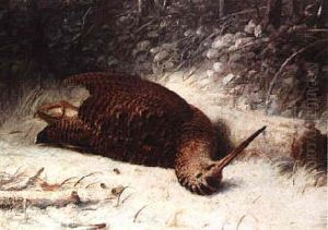 A Woodcock by Abel Hold
