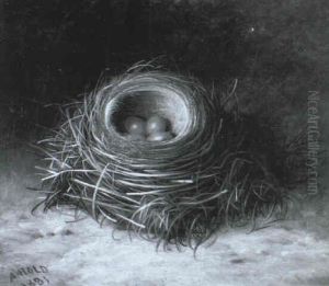 A Bird's Nest A Bird's Nest