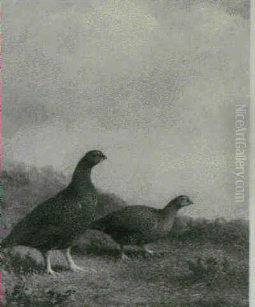 A Brace Of Grouse - view 1
