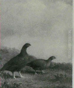 A Brace Of Grouse