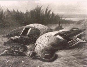 A Still Life Of A Teal And A Snipe On A Grassy Bank