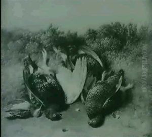Grouse And A Snipe On A Moor