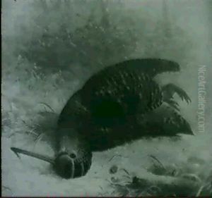 A Study Of A Dead Woodcock by Abel Hold