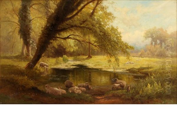 Sheep Watering In A Glade - view 1