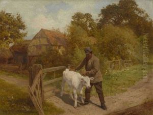 Bauer Mit Weisem Kalb