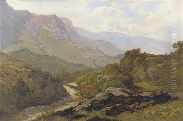 Lakeland Landscape With Tree Beside A River - view 1