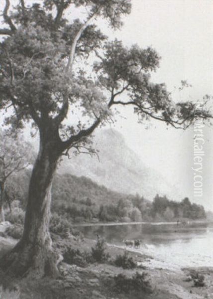 Falcon Crag - view 1