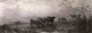 Cattle Grazing On A Hillside At Sunset Cattle Grazing On A Hillside At Sunset