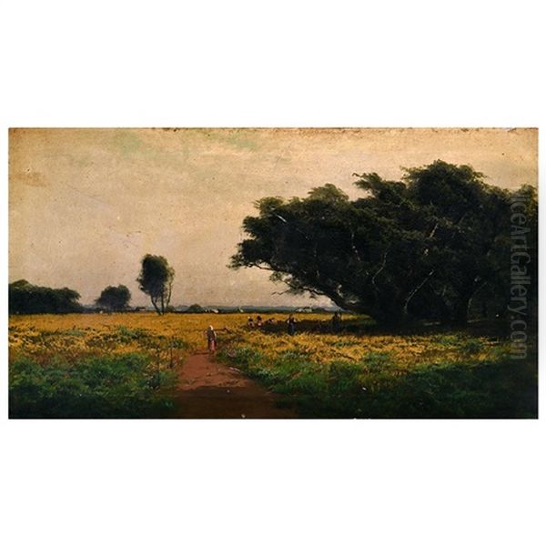 California Landscape - view 1