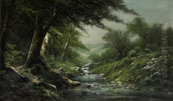 Stream Through A Wooded Landscape - view 1