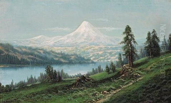 Mount Hood, Oregon - view 1