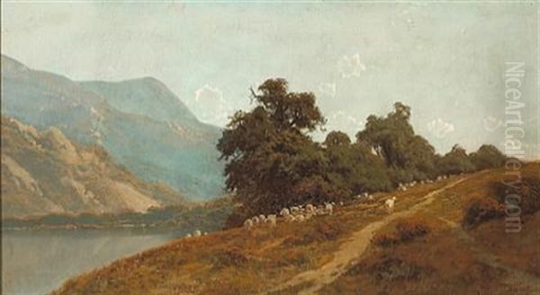 Sheep Pasture Near Santa Cruz - view 1