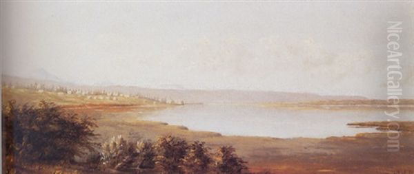 Western Settlement - view 1