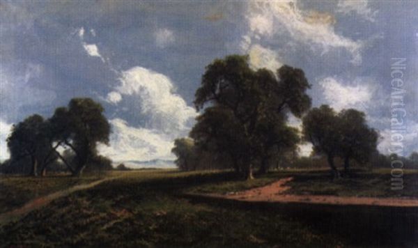 California Landscape - view 1