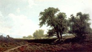 Marin Ranch