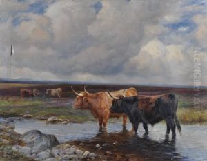 Highland Cattle Watering At The Stream by Wright Barker