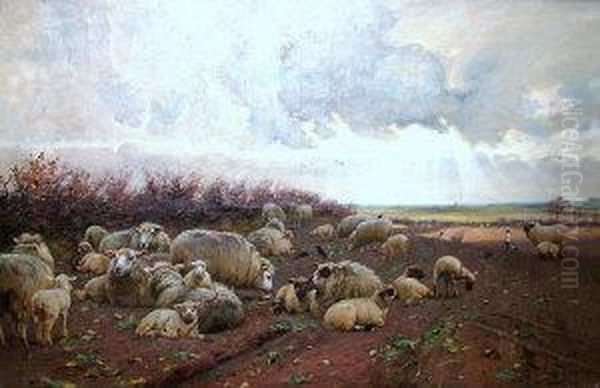 Counting The Flock - view 1