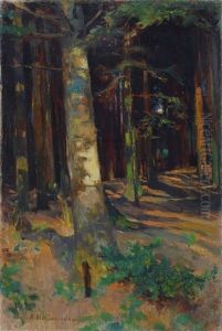 Luci Nel Bosco by Alphons Hollaender