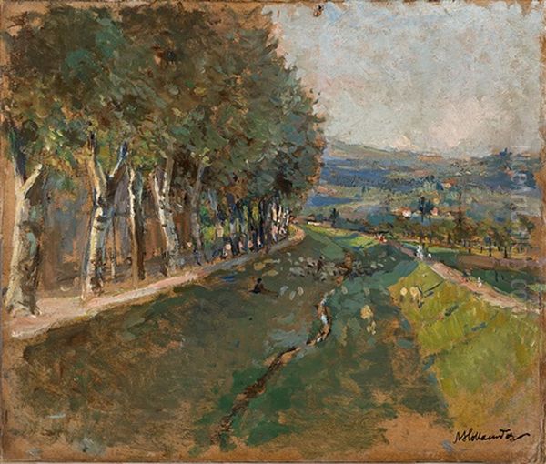 Lungo Il Mugnone - view 1