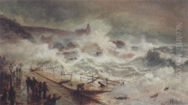 The Rescue - view 1